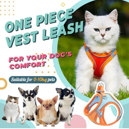 🐱 50% RABATT NU! ☀️ 2-i-1 Sele & Bånd – Andningsbart Nett, Lettvekt & Reflekterende – Sikker Passform, Enkel På/av for Sommarturer 🌙