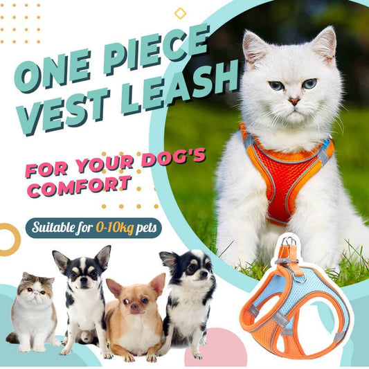 🐱 50% RABATT NU! ☀️ 2-i-1 Sele & Bånd – Andningsbart Nett, Lettvekt & Reflekterende – Sikker Passform, Enkel På/av for Sommarturer 🌙