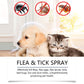 🐶🐱Naturlig Lopp- & Fästingspray