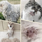 Dubbelsidig borste för husdjurspälsvård
