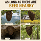 Portable Bee Swarm Lure Spray