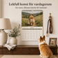 Rolig väggkalender med djurkulor