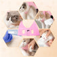 🔥🎁Nyhet 50 % RABATT🔥🐾 SLIPP KAMPEN VID KLOKLIPPNING – Håll hunden eller katten lugnare och stadigare medan du sköter tassarna – Grooming-hängmatta för husdjur