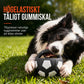 ⚽ 53% RABATT! 🐕 Interaktiv hundfotbollsleksak med greppöglor, perfekt för aktiv lek med hunden 🐾✨