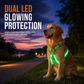 🐾 Justerbar LED-hundsele med blinkande ljus
